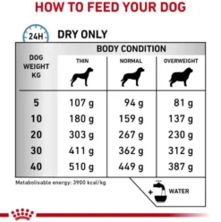 Royal Canin Vet Skin Care Sucha Karma dla psa op. 2x11kg MEGA-PAK