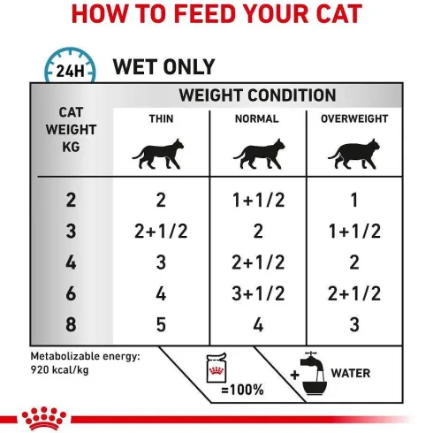 Royal Canin Vet Skin&Coat Mokra Karma dla kota op. 85g Pakiet 12szt.