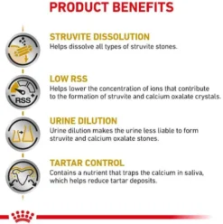 Royal Canin Vet Small Urinary S/O Sucha Karma dla psa op. 1.5kg