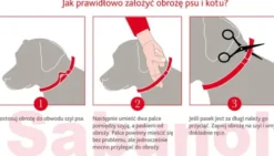 Sabunol Obroża na kleszcze i pchły dla psa kolor czerwony dł. 75cm