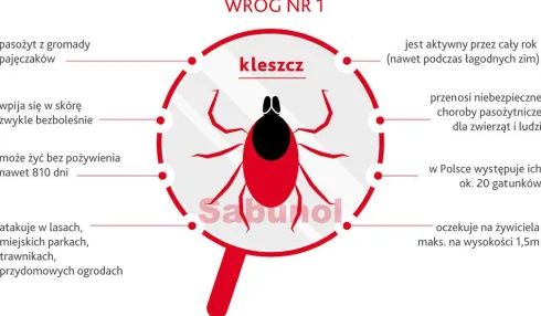 Sabunol Obroża na kleszcze i pchły dla psa kolor czerwony dł. 75cm