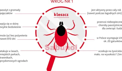 Sabunol PLUS Obroża na kleszcze i pchły dla psa dł. 35cm
