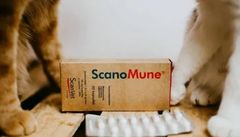 Scanvet Preparat na odporność Scanomune dla psa i kota op. 30 kapsułek