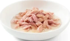Schesir Adult Tuna in Broth Mokra Karma dla kota op. 85g Pakiet 12szt.