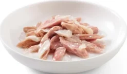Schesir Adult Tuna&Sqiud in Jelly Mokra Karma dla kota op. 70g Pakiet 12szt.