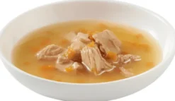 Schesir Soup with Salmon&Carrot Mokra Karma dla kota op. 40g