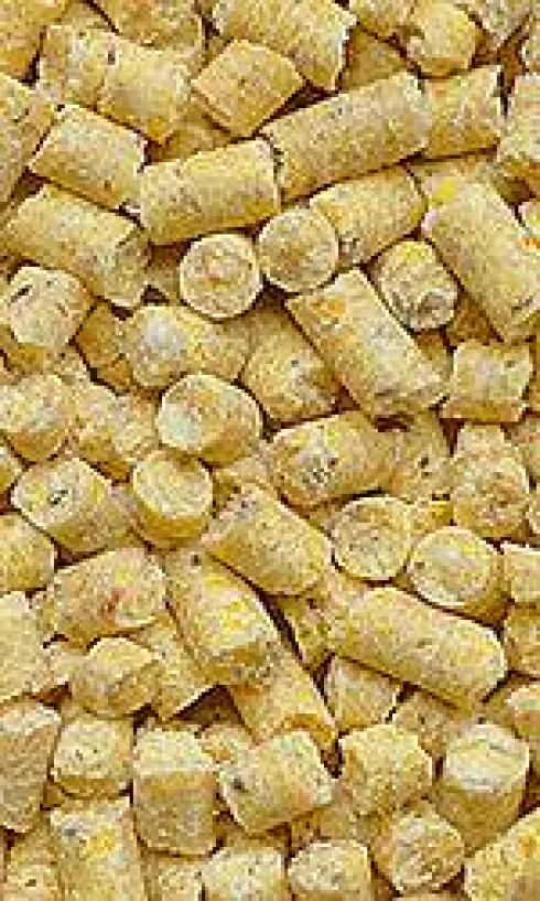 Super Benek Żwirek kukurydziany Corn Cat Golden dla kota poj. 7l