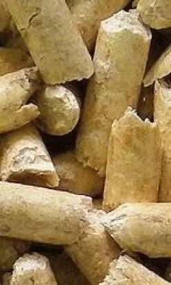 Super Pinio Żwirek drzewny Naturalny zapach zielona herbata dla zwierząt domowych poj. 10l Pakiet 4szt. WYPRZEDAŻ