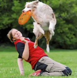 Trixie Frisbee Dog Activity disc dla psa śr. 23cm mix kolorów nr kat. 33562 WYPRZEDAŻ