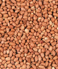 Versele-Laga Menu Nature Orzeszki ziemne dla ptaków wolnożyjących op. 2x200g
