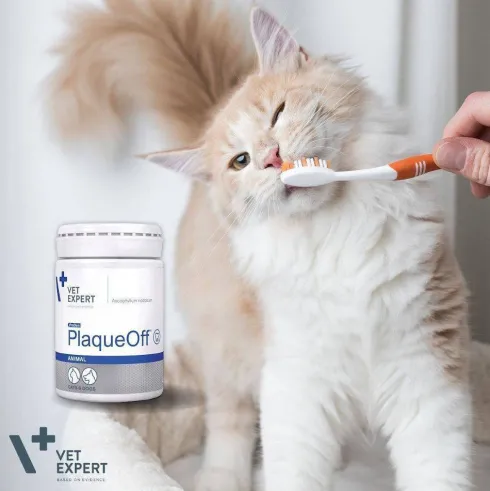 VetExpert Preparat na kamień nazębny PlaqueOff Animal dla psa i kota op. 40g