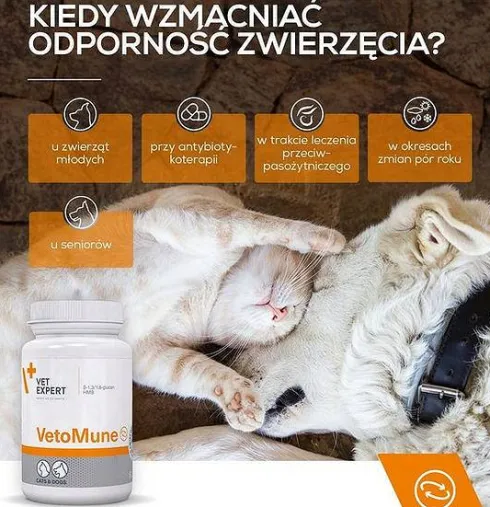 VetExpert Preparat na odporność VetoMune dla psa i kota op. 60 kapsułek