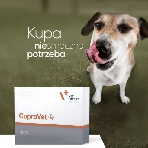 VetExpert Preparat zniechęcający do zjadania odchodów CoproVet dla psa i kota op. 30 tabletek