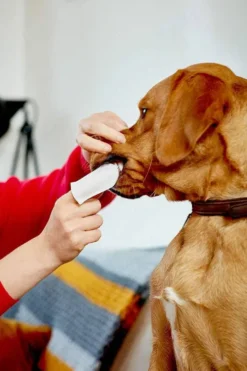 Vets Best Czyściki do zębów Clean Teeth dla psa i kota op. 50szt.