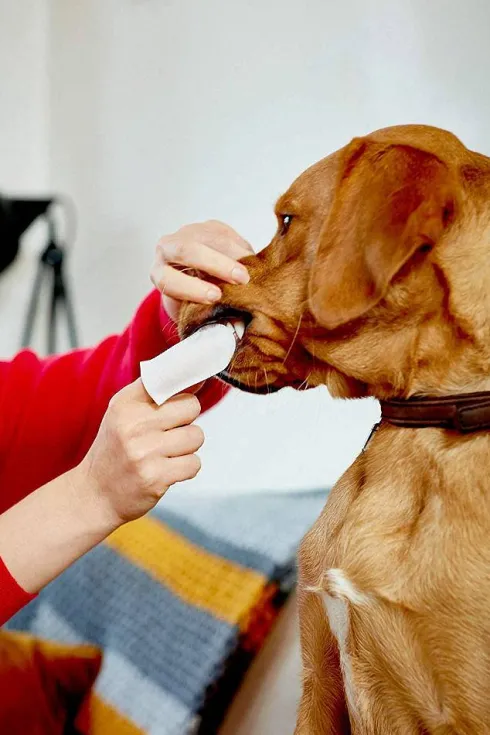 Vets Best Czyściki do zębów Clean Teeth dla psa i kota op. 50szt.