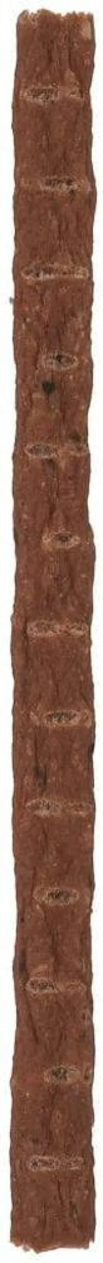 Vitakraft Kabanos Beef Stick z dziczyzną dla psa op. 1szt.