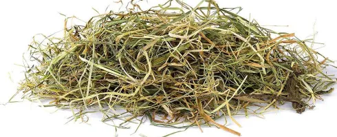 Vitakraft Sianko VitaVerde z miętą dla gryzonia op. 500g