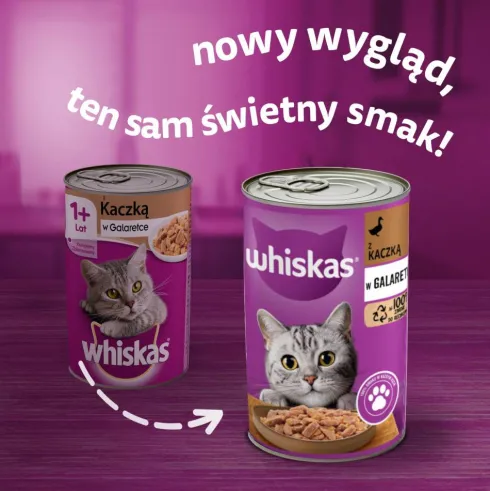 Whiskas Adult Kaczka w galaretce Mokra Karma dla kota op. 400g Pakiet 12szt.