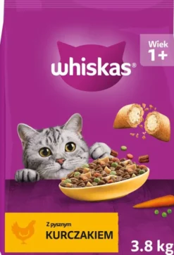 Whiskas Adult z Kurczakiem Sucha Karma dla kota op. 3.8kg