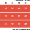 Wiejska Zagroda Adult Large Wołowina z indykiem Sucha Karma dla psa op. 9kg