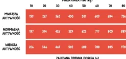 Wiejska Zagroda Adult Large Wołowina z indykiem Sucha Karma dla psa op. 9kg