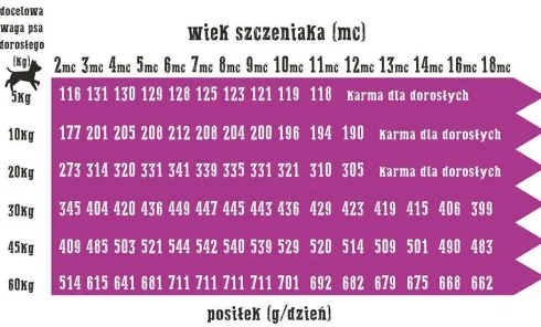 Wiejska Zagroda Puppy Medium Indyk z jabłkiem Sucha Karma dla szczeniaka op. 2kg