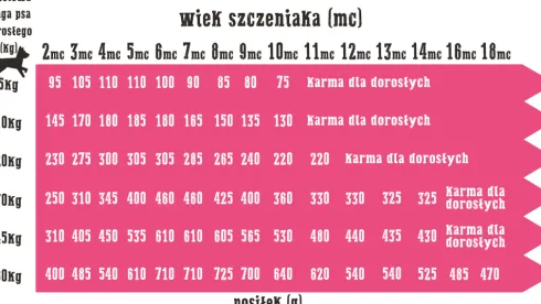 Wiejska Zagroda Puppy Small Jagnięcina ze szpinakiem Sucha Karma dla szczeniaka op. 9kg