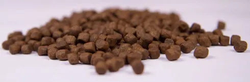 Wiejska Zagroda Puppy Small Jagnięcina ze szpinakiem Sucha Karma dla szczeniaka op. 9kg