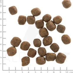 Wolfsblut Adult Cold River Sucha Karma dla psa op. 12.5kg