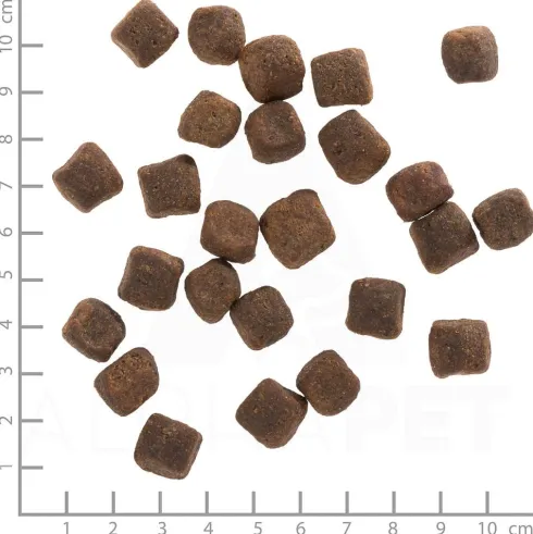 Wolfsblut Adult Dark Forest Sucha Karma dla psa op. 12.5kg