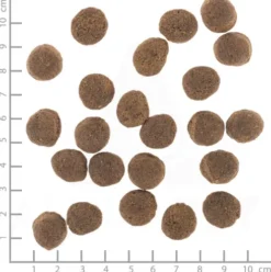 Wolfsblut VetLine Gastrointestinal Sucha Karma dla psa op. 2kg WYPRZEDAŻ