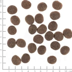 Wolfsblut VetLine Skin&Coat Sucha Karma dla psa op. 12kg