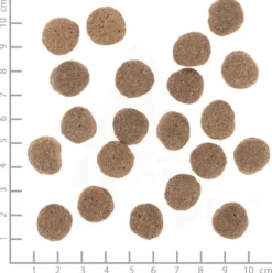 Wolfsblut VetLine Weight Management Sucha Karma dla psa op. 2kg